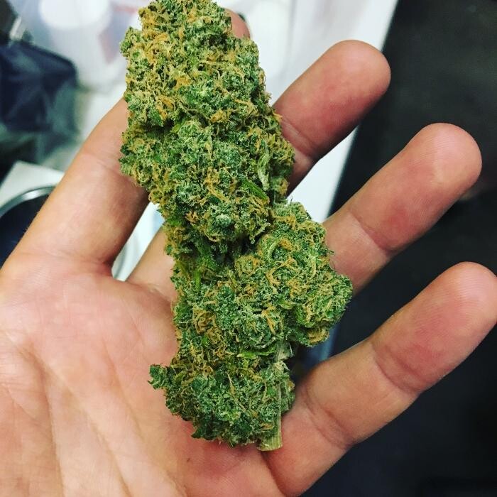 Images SNAXLAND - High Street