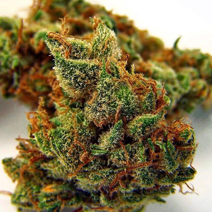 Images SNAXLAND - High Street