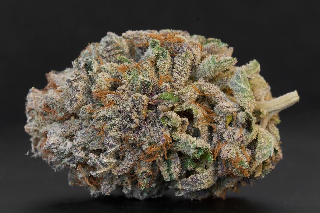 Images SNAXLAND - High Street