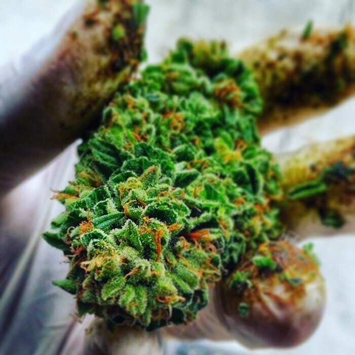 Images SNAXLAND - High Street