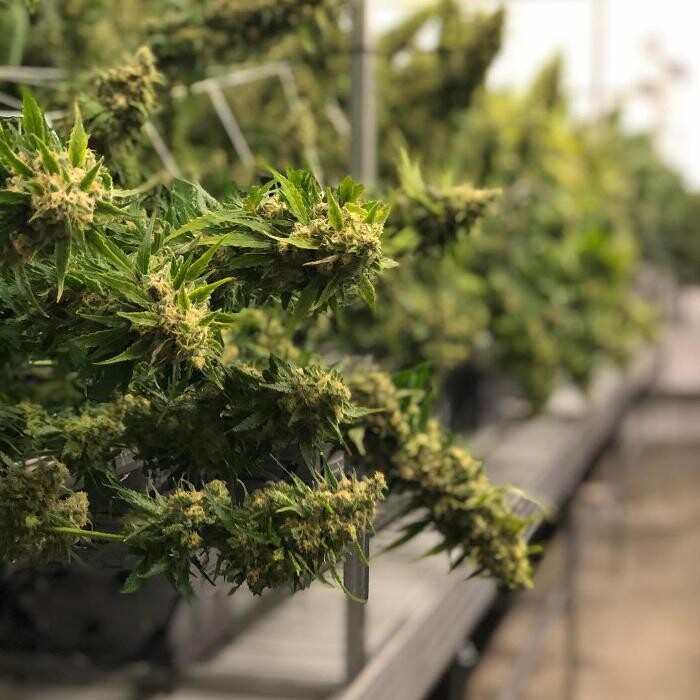 Images SNAXLAND - High Street