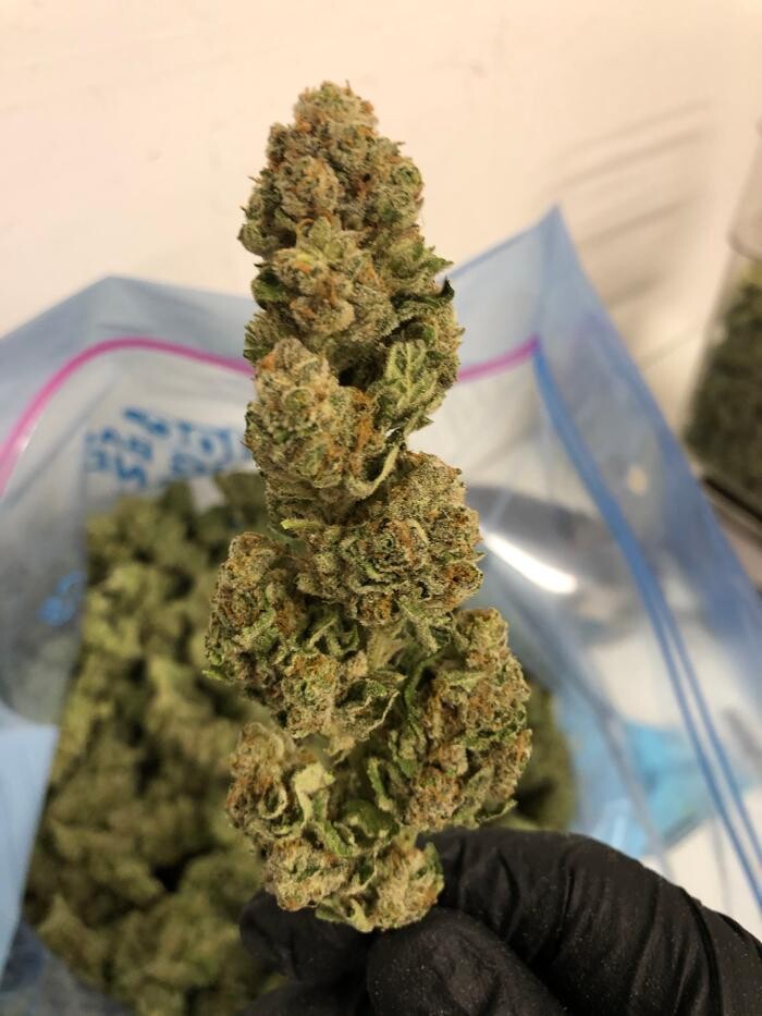 Images SNAXLAND - High Street