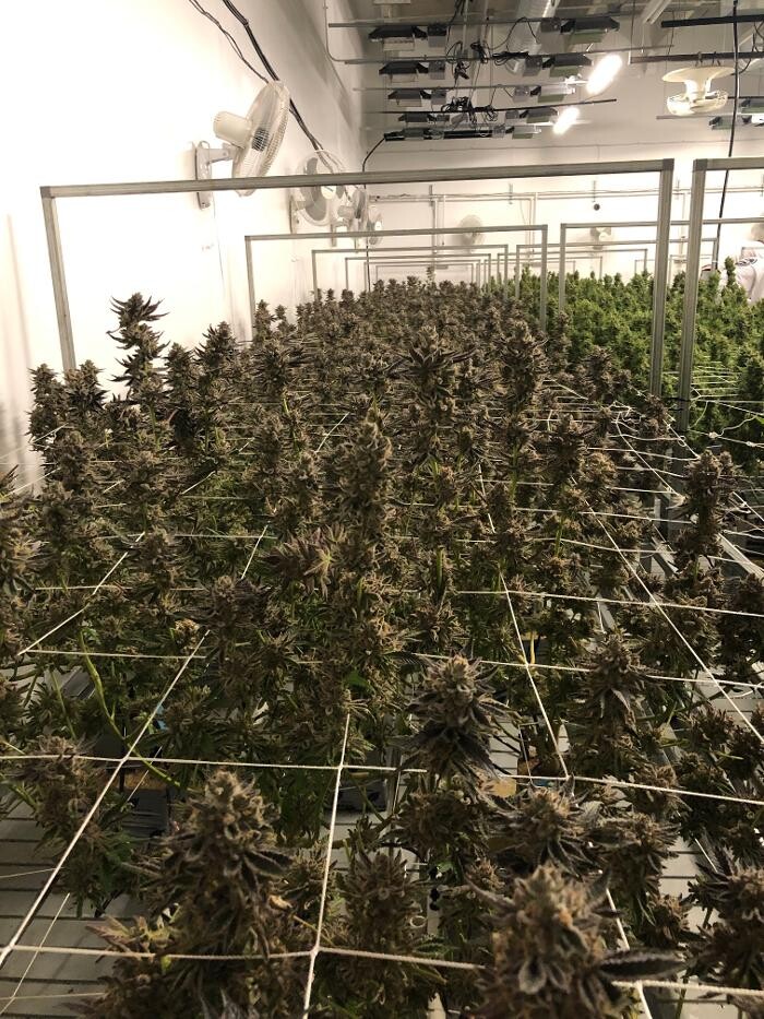 Images SNAXLAND - High Street