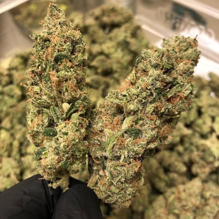 Images SNAXLAND - High Street