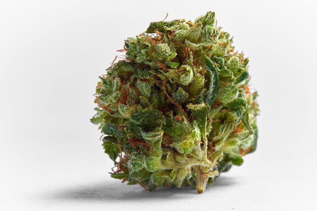 Images SNAXLAND - High Street