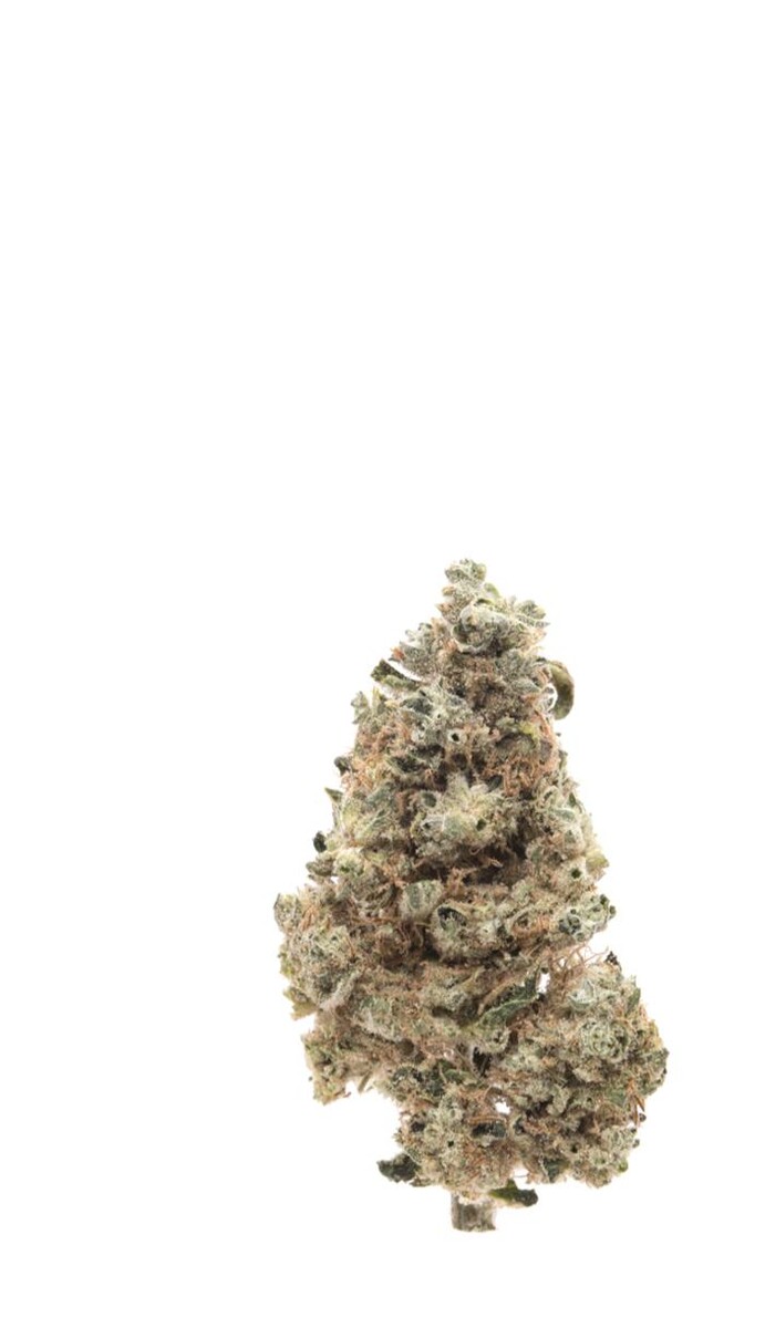 Images SNAXLAND - High Street