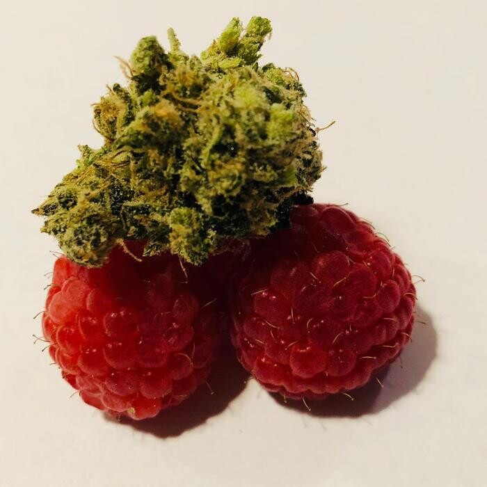 Images SNAXLAND - High Street