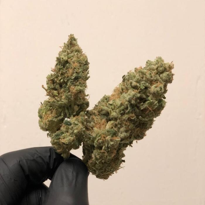 Images SNAXLAND - High Street