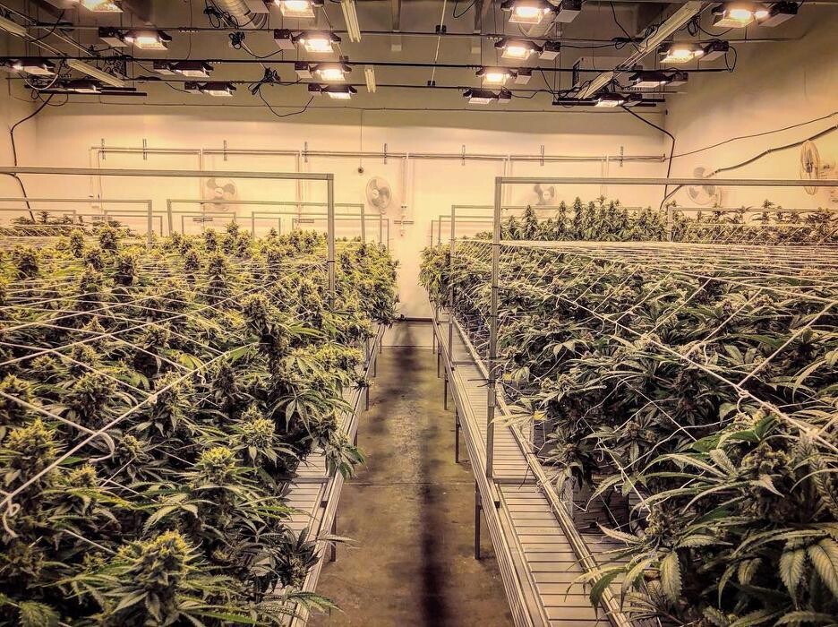 Images SNAXLAND - High Street