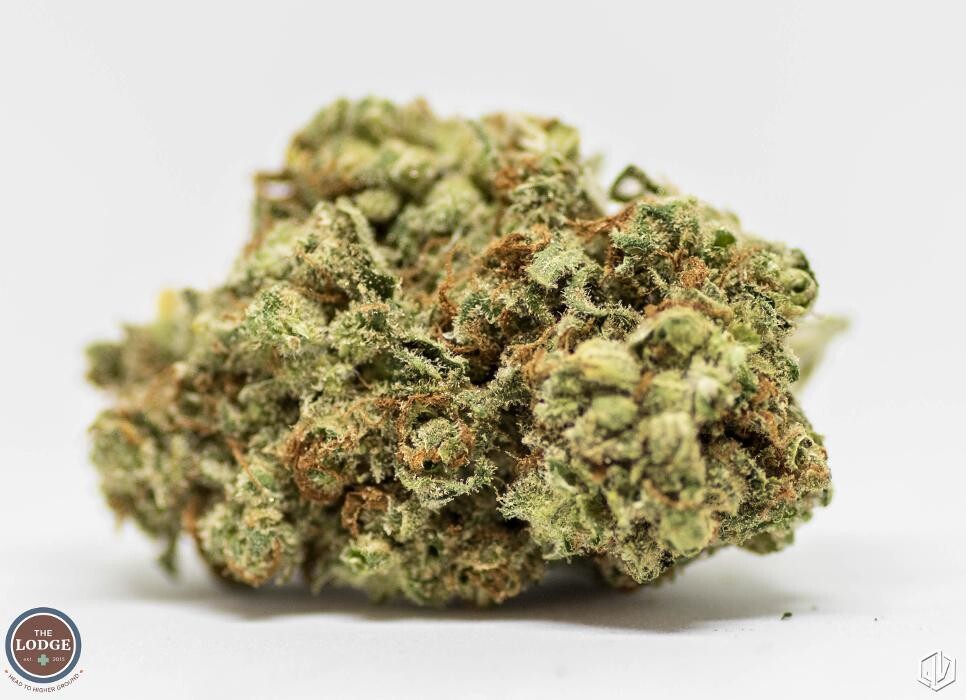 Images SNAXLAND - High Street