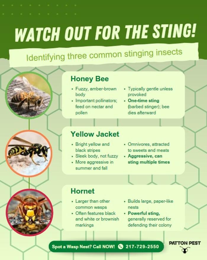 Images Patton Pest Control LLC