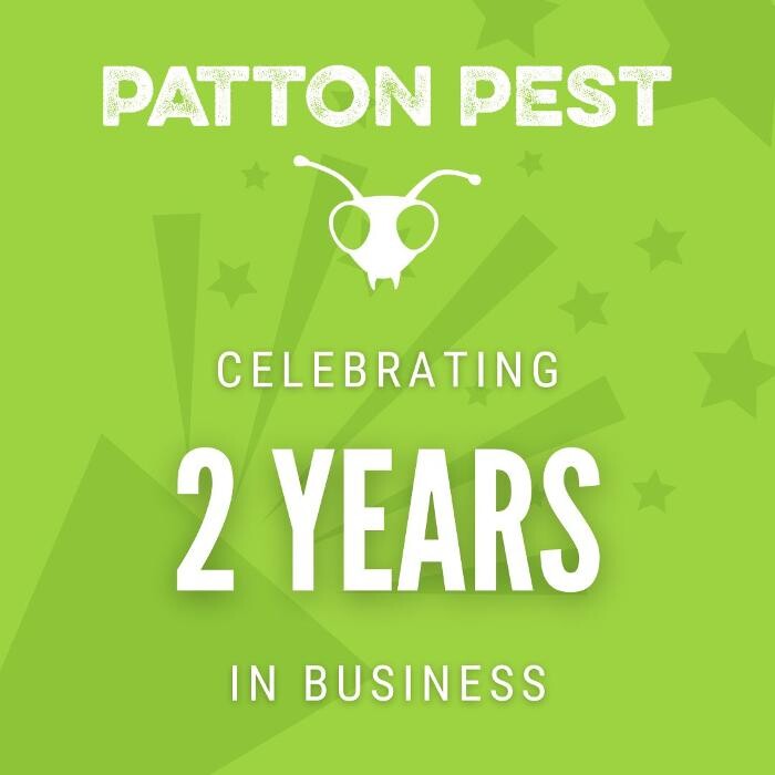 Images Patton Pest Control LLC