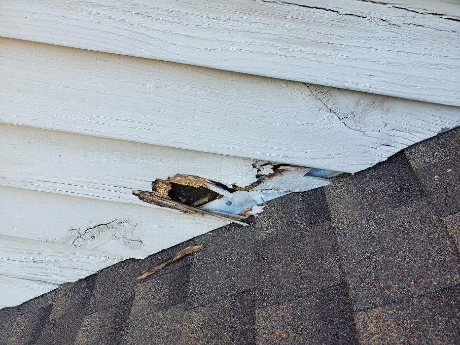 Images 7 Star Animal Control & Repairs LLC