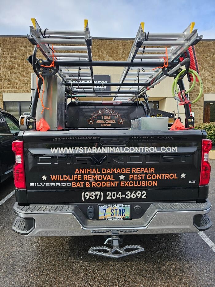 Images 7 Star Animal Control & Repairs LLC