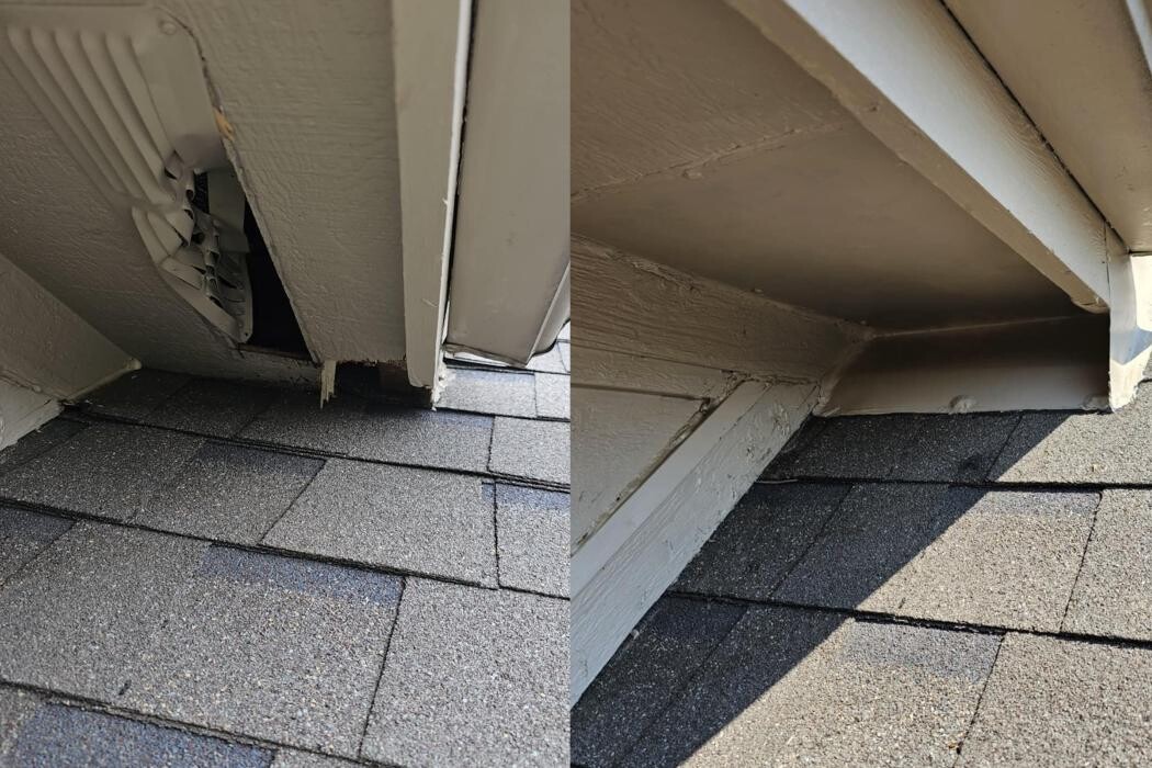 Images 7 Star Animal Control & Repairs LLC
