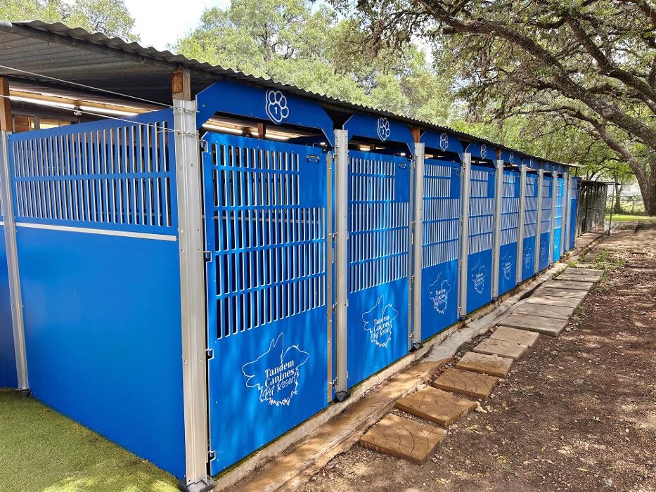 Images Tandem Canines Pet Resort