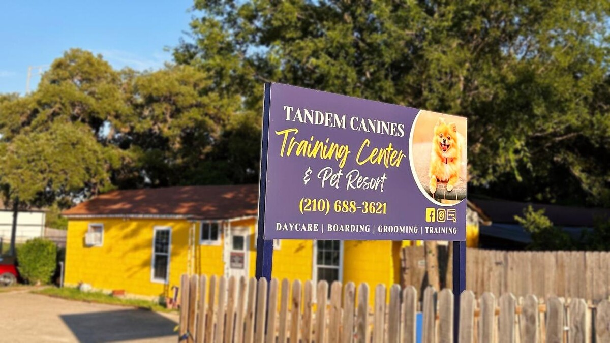 Images Tandem Canines Pet Resort
