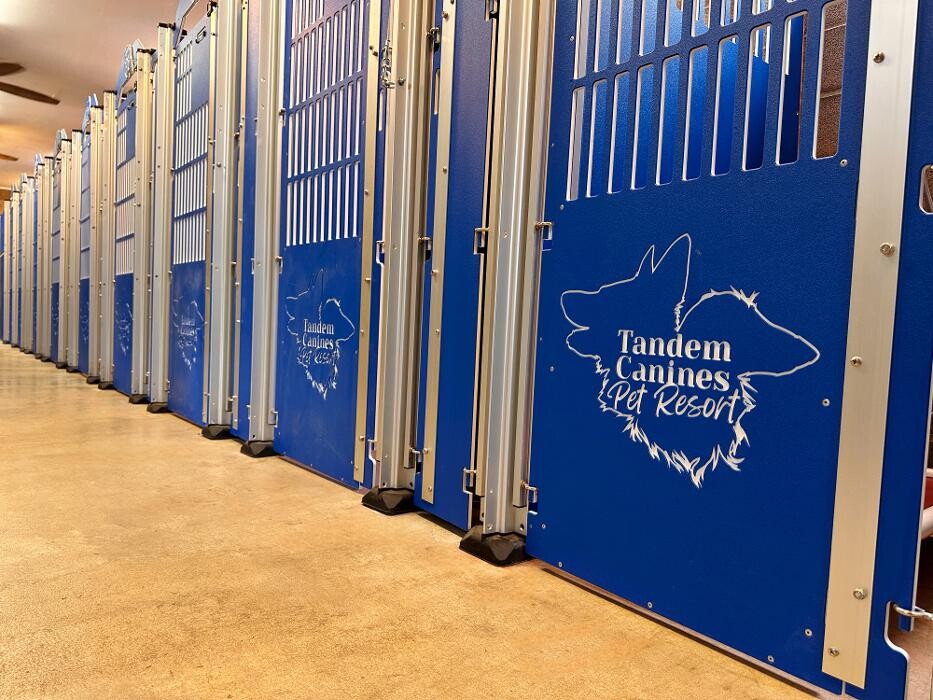 Images Tandem Canines Pet Resort