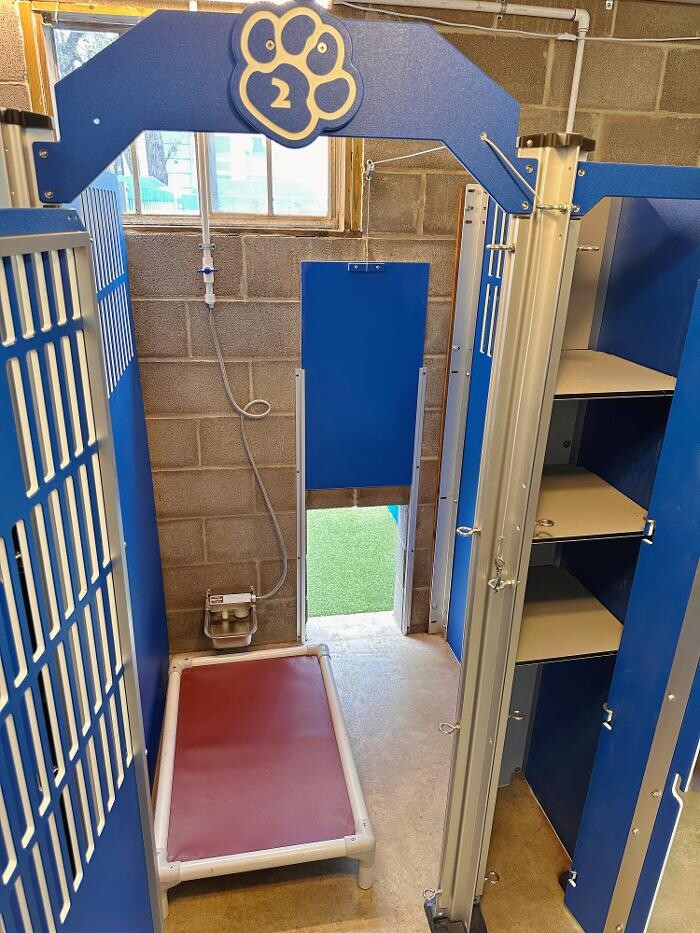 Images Tandem Canines Pet Resort