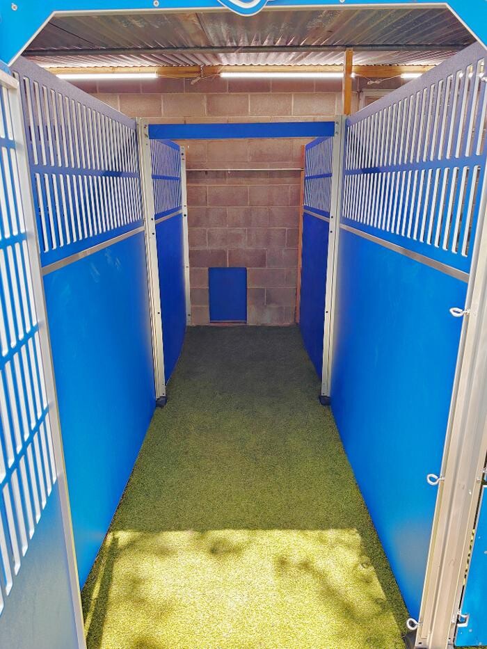 Images Tandem Canines Pet Resort