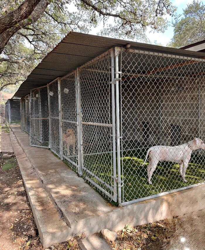 Images Tandem Canines Pet Resort