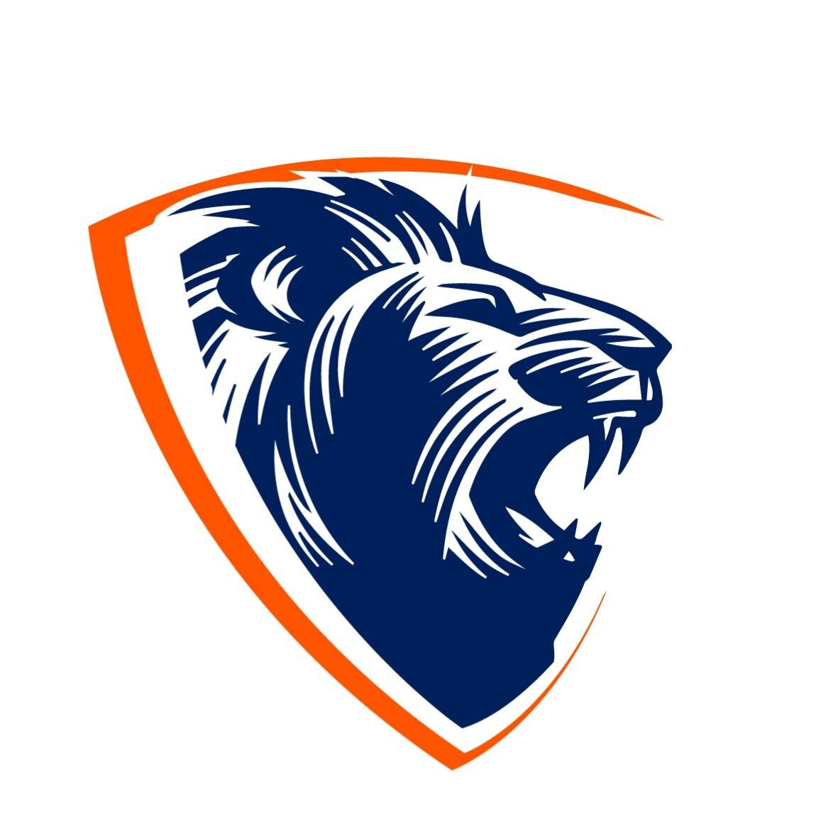 Brave Movers Co.-Boston Moving Company Logo
