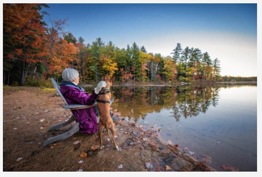 Images Nest Egg Wealth Management