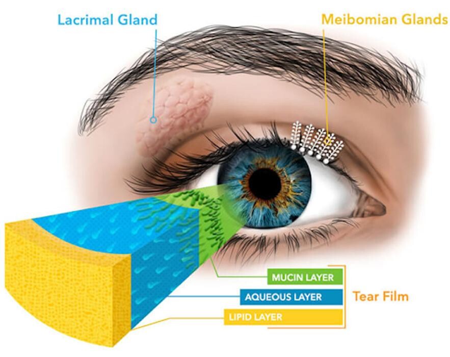 Images OptiHealth Optometry