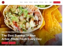 Website Screenshot BTB Burrito