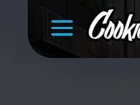 Website Screenshot Cookie Plug