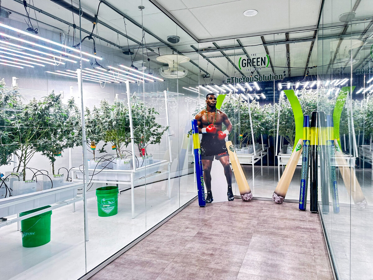 Images The Green Solution