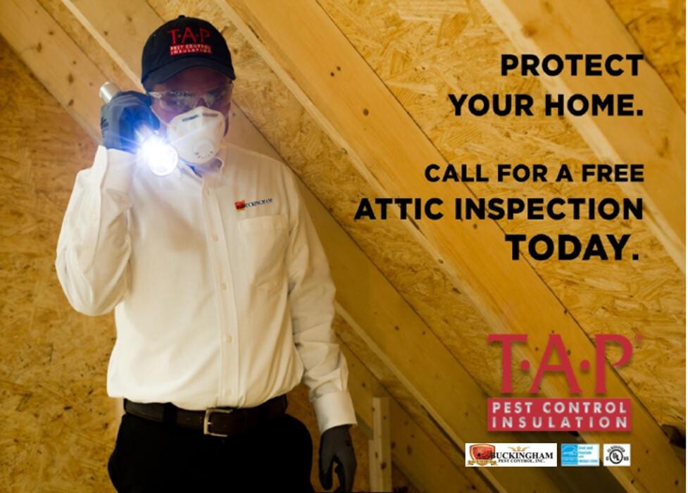 Images Buckingham Pest Control