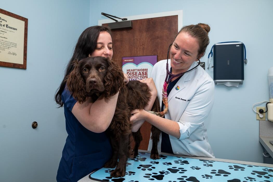 Images Battleground Hospital for Animals