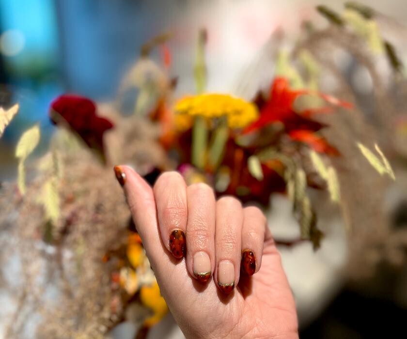 Images Paint Nail Bar Midlothian