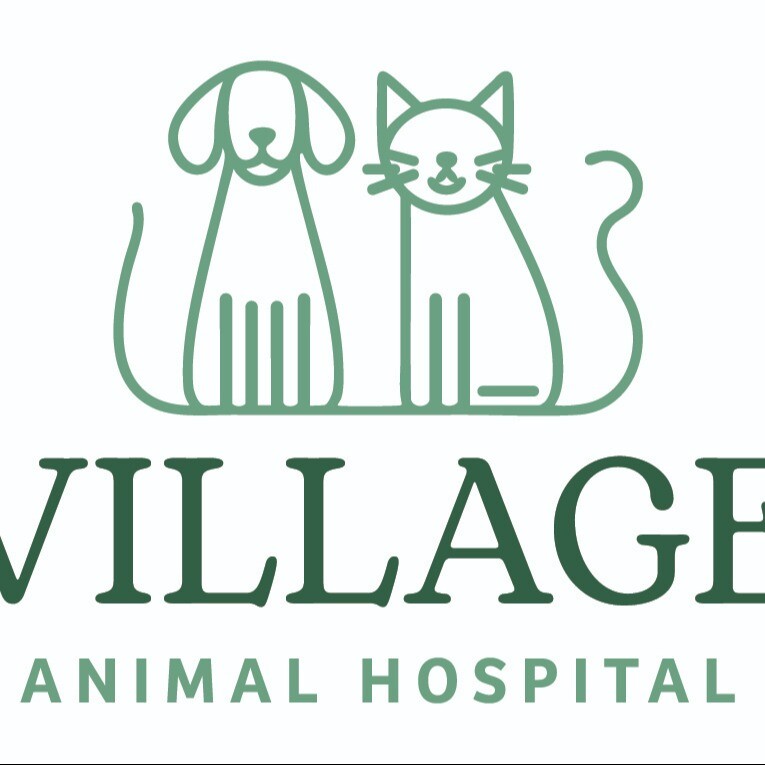 Village Animal Hospital of Jericho Logo