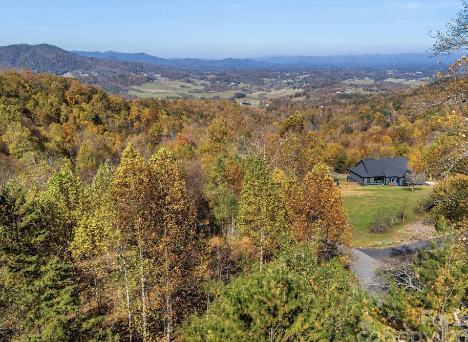Images Carolina Life Properties/ Premiere Group - Real Broker, LLC