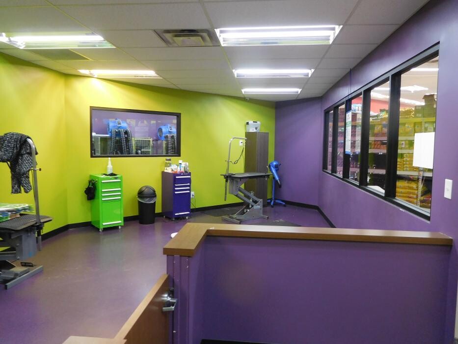 Images CertaPro Painters of Plano, TX