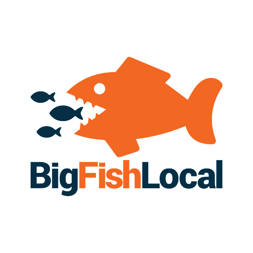Big Fish Local - Web Design & Digital Marketing Agency Logo