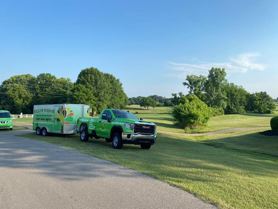 Images Willow Window