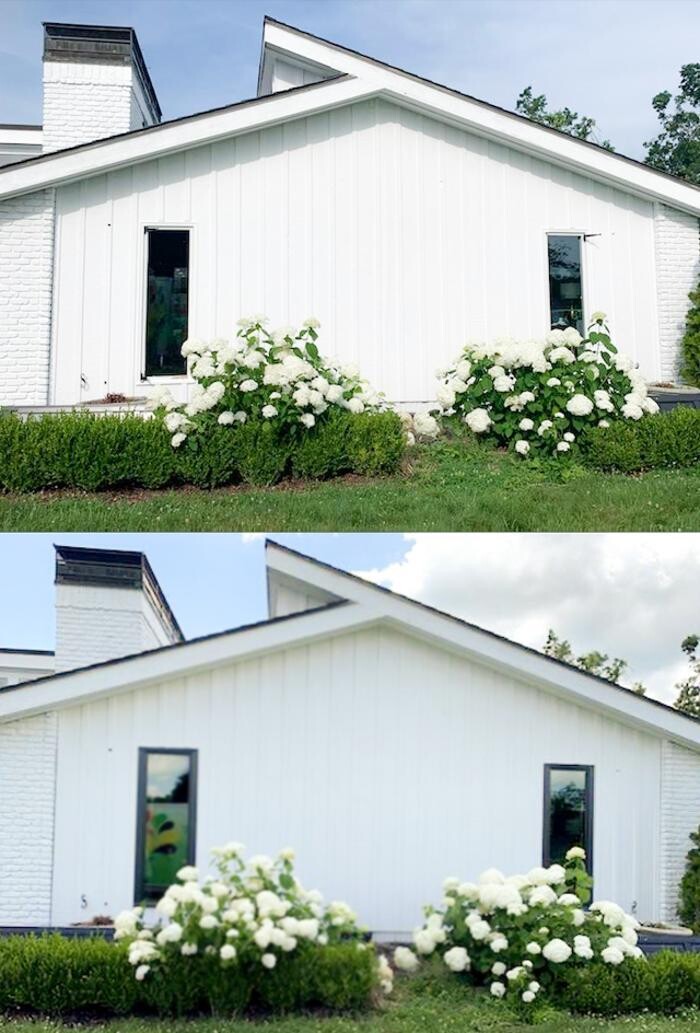 Images Willow Window