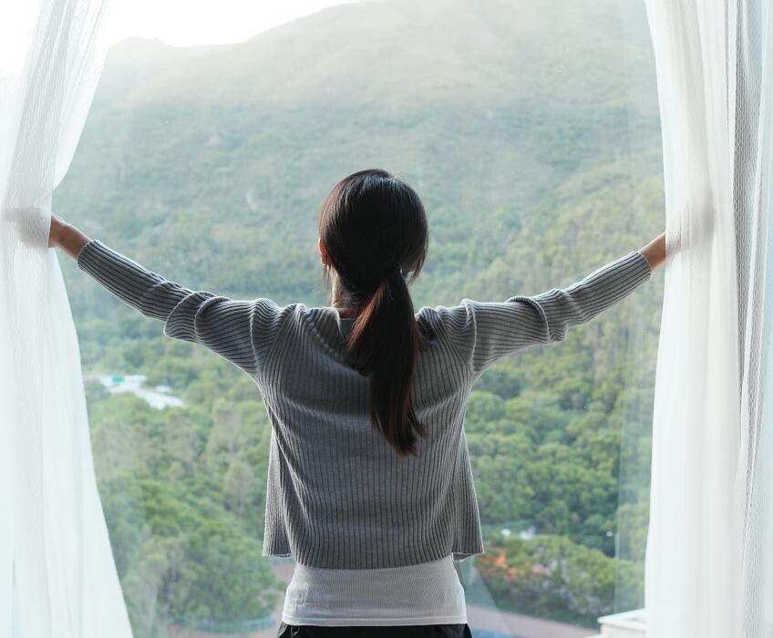 Images Willow Window