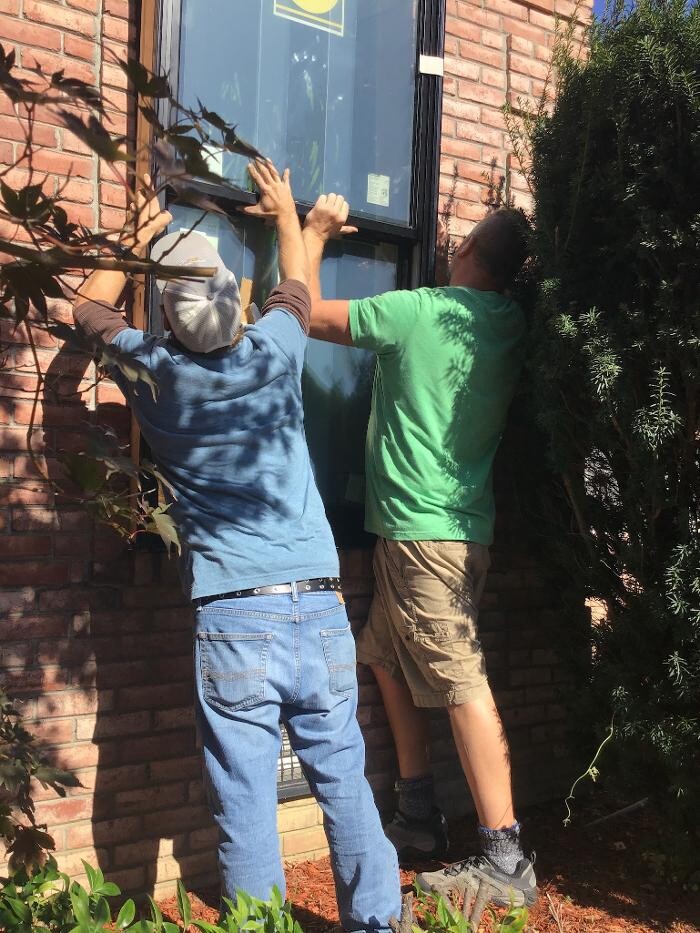 Images Willow Window