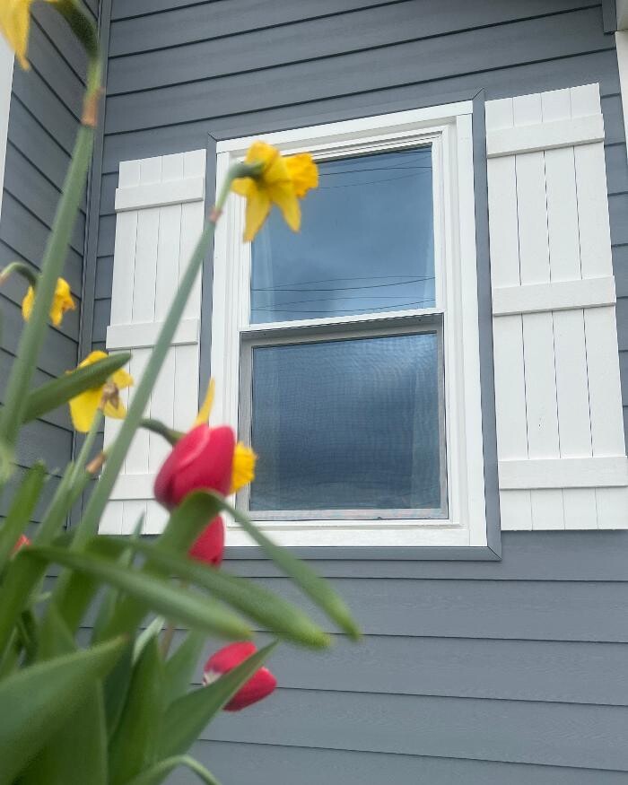 Images Willow Window