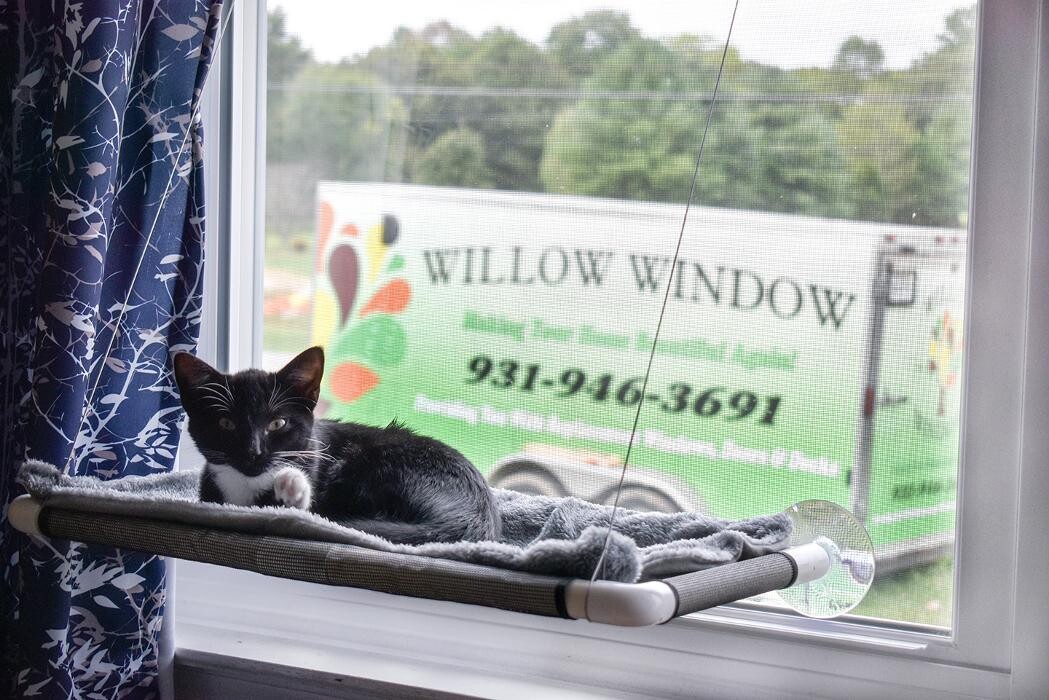 Images Willow Window