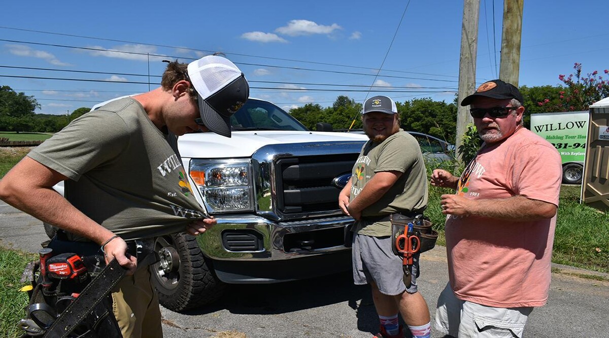Images Willow Window