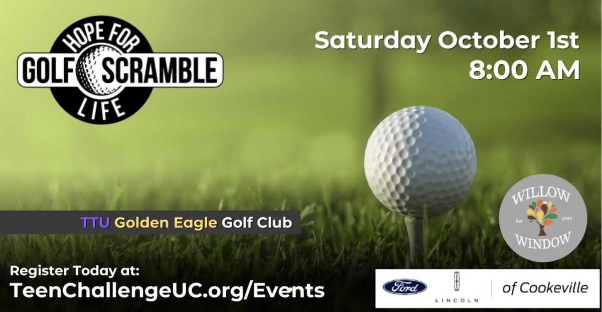 Images Willow Window