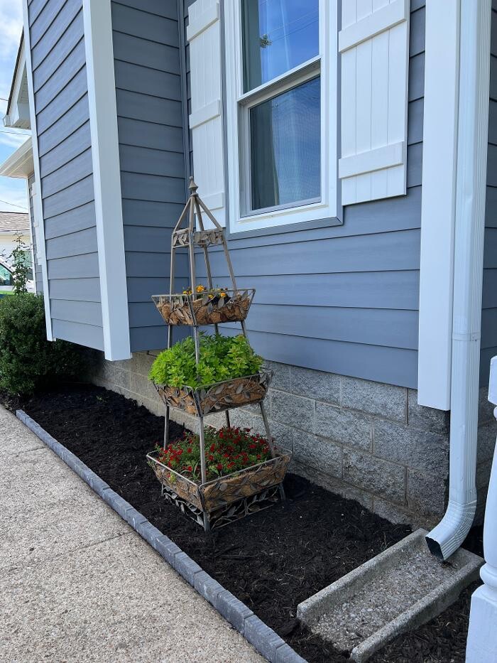 Images Willow Window