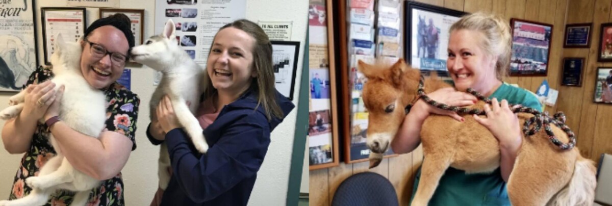 Images Judd Veterinary Clinic