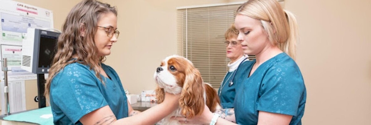 Images Veterinary Hospital at the Lake