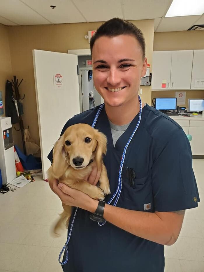 Images Stonebridge Family Vet